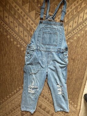 Wild Fable light blue denim distressed overalls